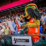 1. Basketball Bundesliga, easyCredit BBL, Saison 2025/2026, Herren, Testspiel, Vorbereitung, 06.09.2025, RASTA Vechta - Telekom Baskets Bonn