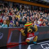 1. Basketball Bundesliga, easyCredit BBL, Saison 2025/2026, Herren, Hauptrunde, 20. Spieltag, 14.02.2026, RASTA Vechta - ratiopharm Ulm