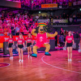 1. Basketball Bundesliga, easyCredit BBL, Saison 2026/2027, Herren, Hauptrunde, 4. Spieltag, 05.10.2026, RASTA Vechta - Basketball Löwen Braunschweig